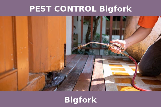 PEST CONTROL Bigfork